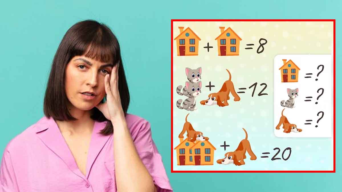 Défi intellectuel : pouvez-vous résoudre cette énigme du chat, du chien et de la maison en 11 secondes chrono ?