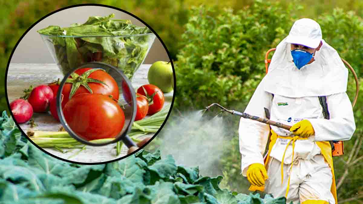 Pesticides : les fruits et légumes de ces régions sont les plus contaminés selon cette étude