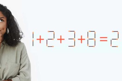 1 + 2 + 3 + 8 = 21 trouvez la tige à déplacer pour corriger ce défi d'allumettes, vous avez 20 secondes et 1 seul mouvement à faire