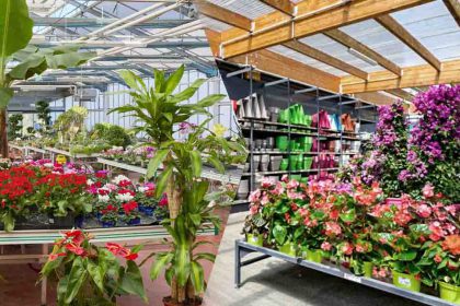 C'est une surprise totale : cette enseigne de jardinerie ferme ses magasins en France