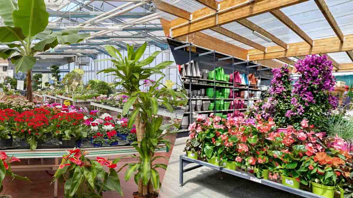 C'est une surprise totale : cette enseigne de jardinerie ferme ses magasins en France