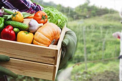 Fruits et légumes : ce pays européen est désormais le TOP 1 du classement des plus grands utilisateurs de pesticides