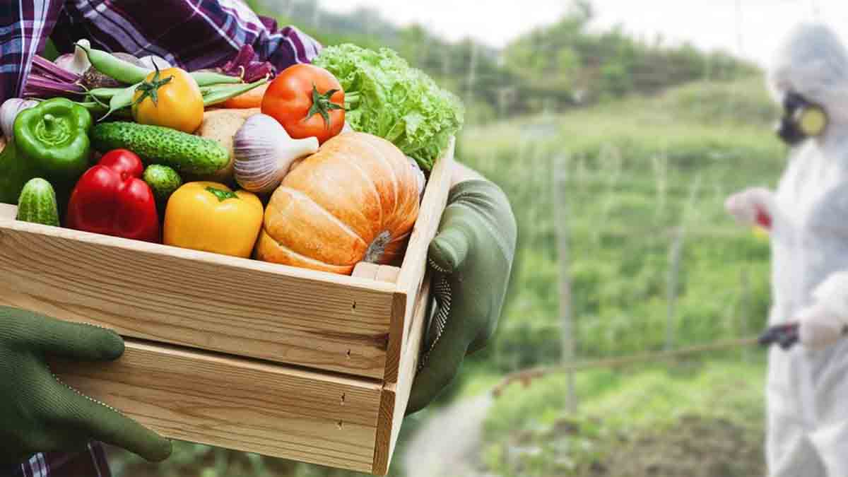 Fruits et légumes : ce pays européen est désormais le TOP 1 du classement des plus grands utilisateurs de pesticides