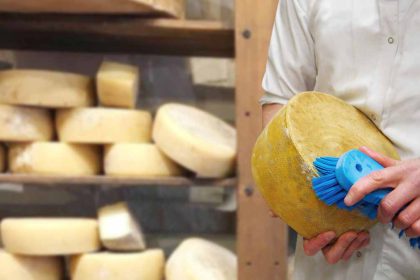 Rappel de produit : ce célèbre fromage contaminé a déjà fait plus de 70 victimes