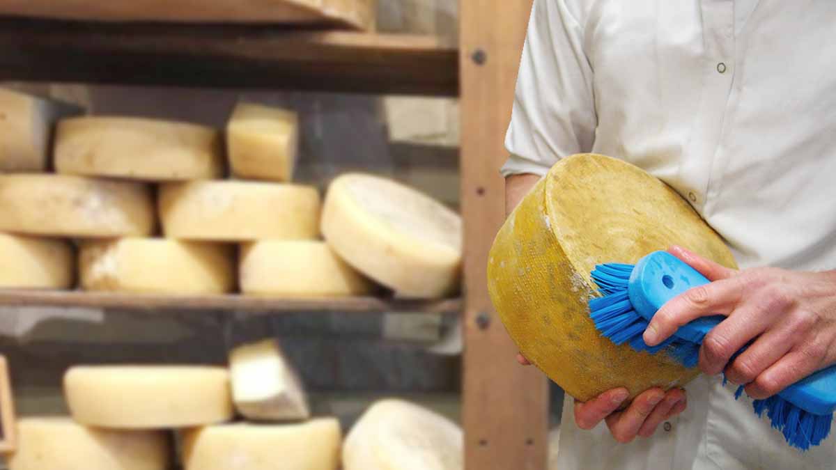 Rappel de produit : ce célèbre fromage contaminé a déjà fait plus de 70 victimes