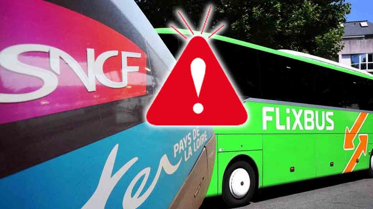 Vacances d’été : recrudescence des vols de bagages, Flixbus et la SNCF donnent les bonnes pratiques à suivre