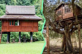 Abri ou cabane de jardin : que faire si vos voisins vous mettent des bâtons dans les roues ?