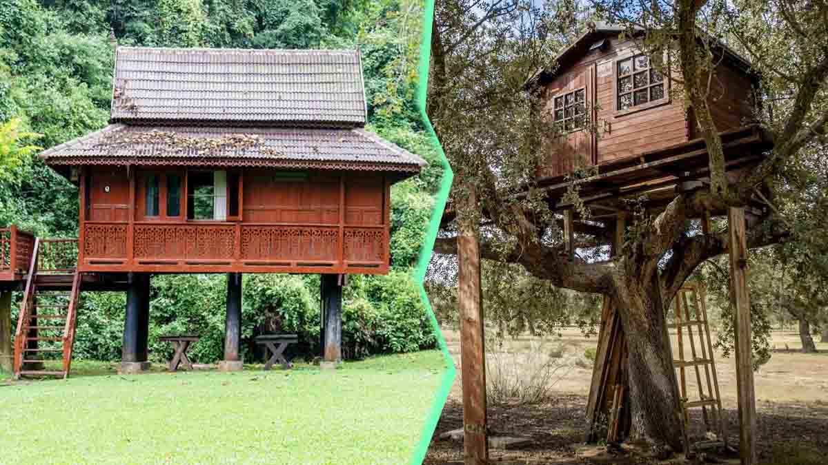 Abri ou cabane de jardin : que faire si vos voisins vous mettent des bâtons dans les roues ?