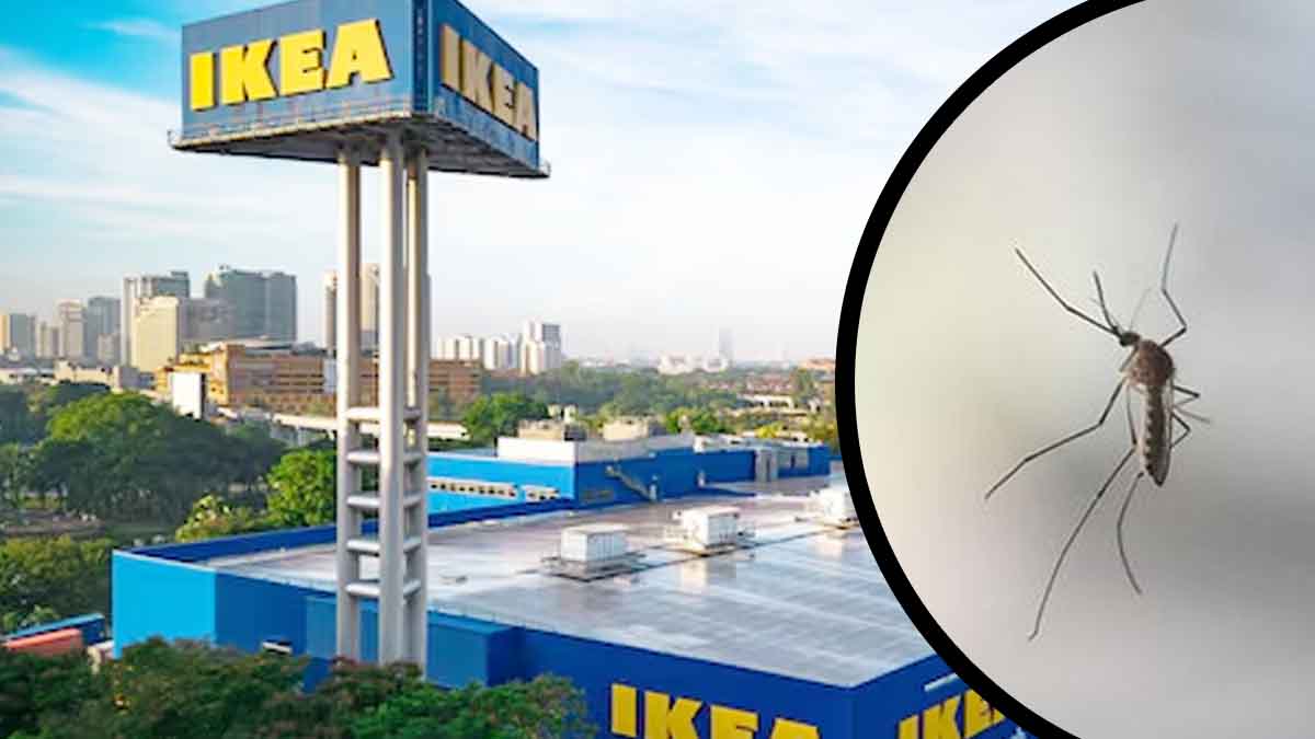 Ce produit Ikea à 4 € est un must-have pour lutter contre les moustiques, il s'arrache en magasin