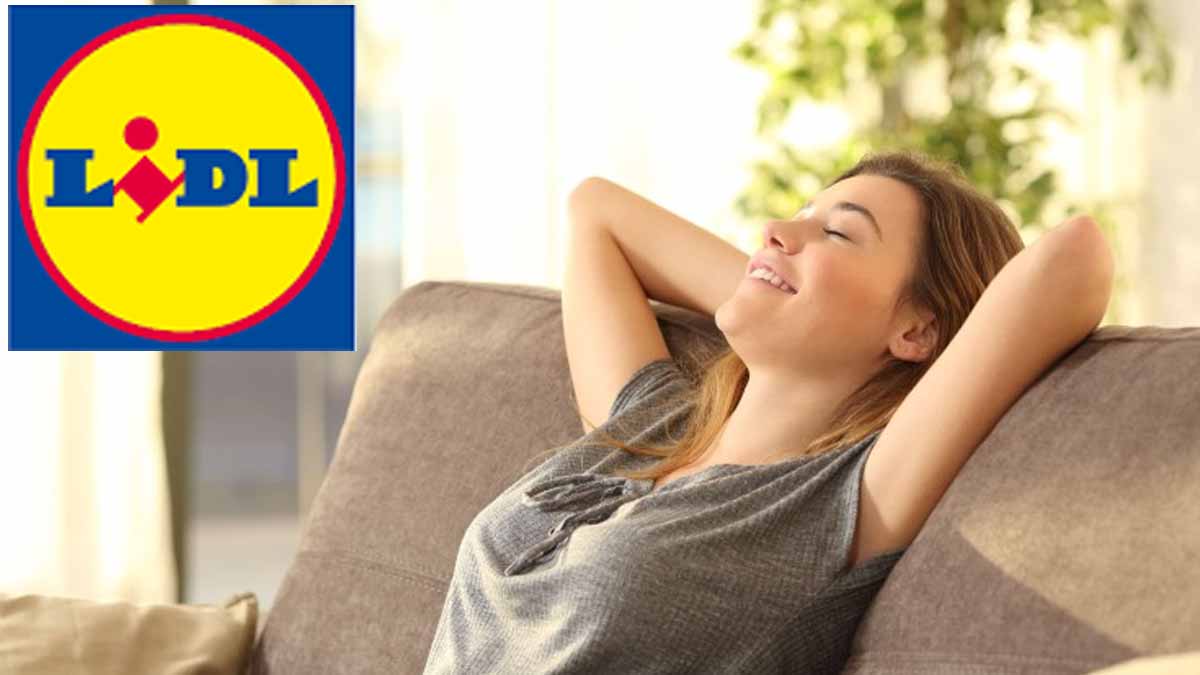 Cet appareil Lidl à petit prix remplace efficacement la clim, il va faire un tabac !