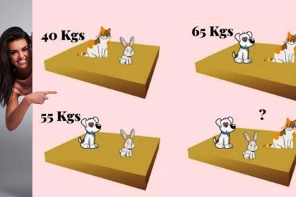 Êtes-vous un as en mathématiques ? Si oui, calculez le poids des animaux en seulement 22 secondes chrono