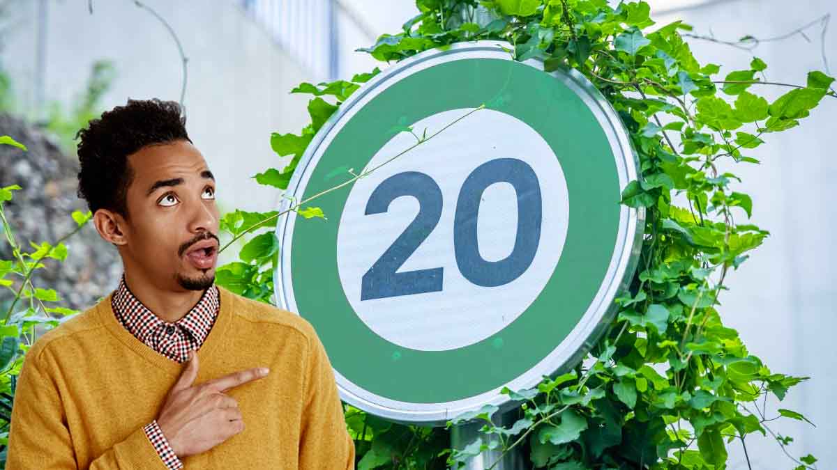 Nouveau panneau vert : Connaissez-vous sa signification ? 1 automobiliste français sur 2 n'en ont aucune idée